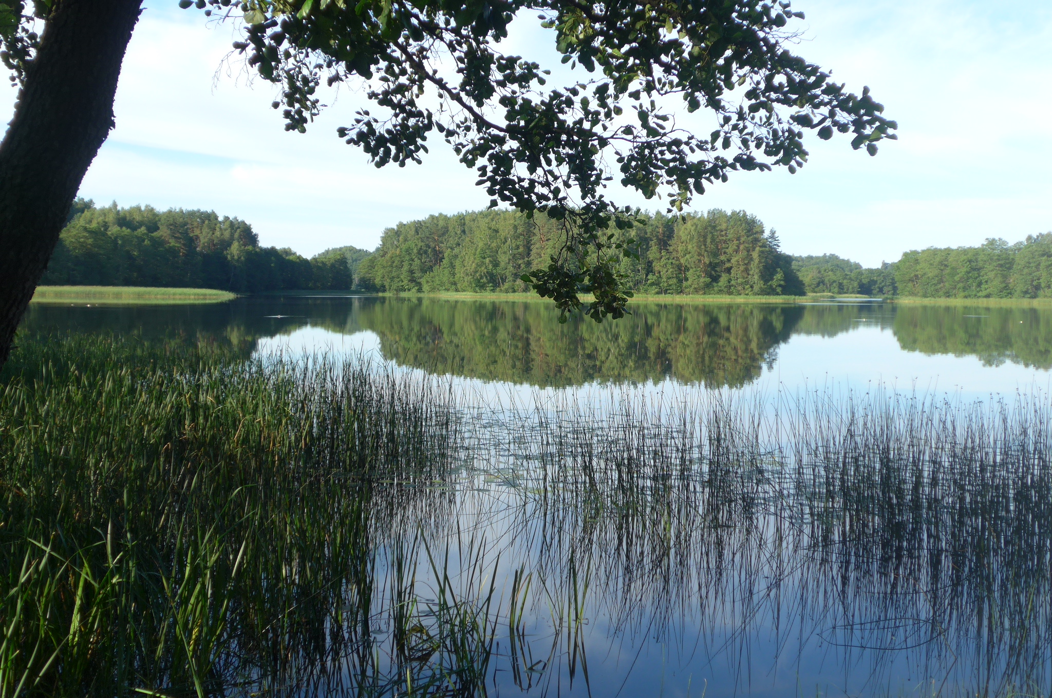 jezero Alksno